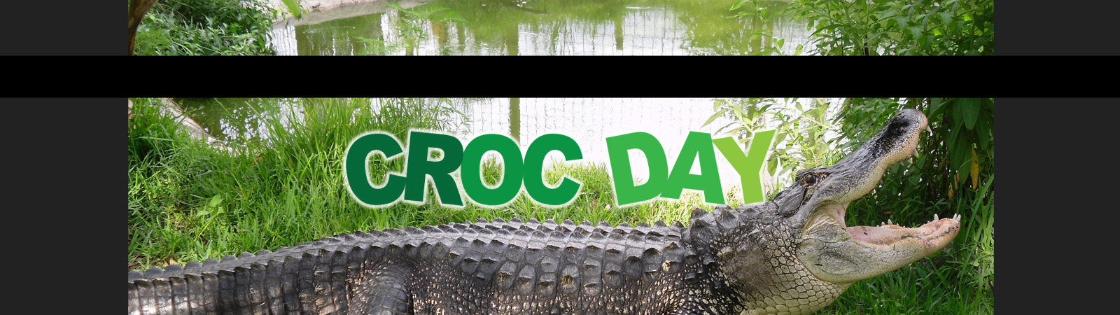 croc day
