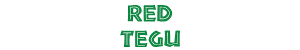 Red Tegu